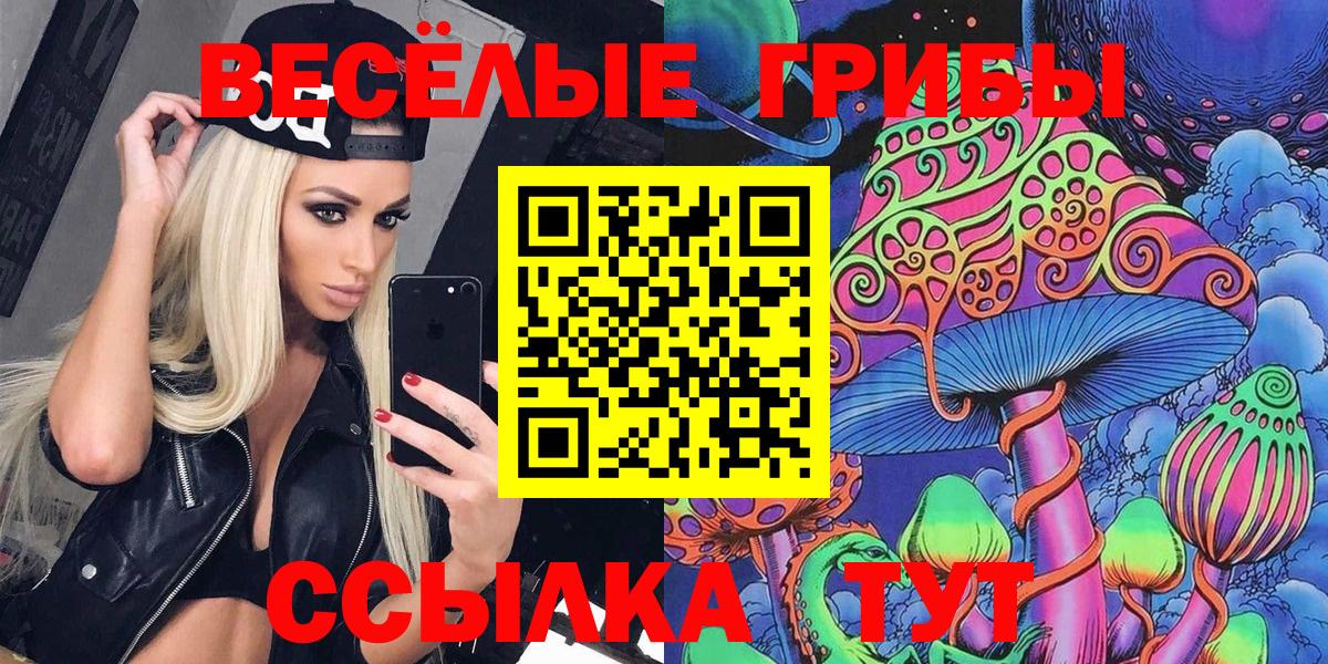 Галлюциногенные грибы Psilocybe  Вход с VPN  Дмитров  Галлюциногенные грибы Cubensis 